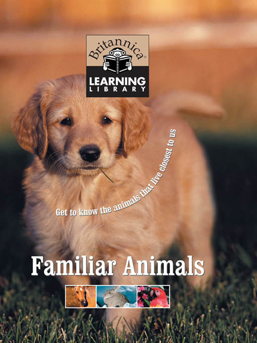 Click image to view full cover